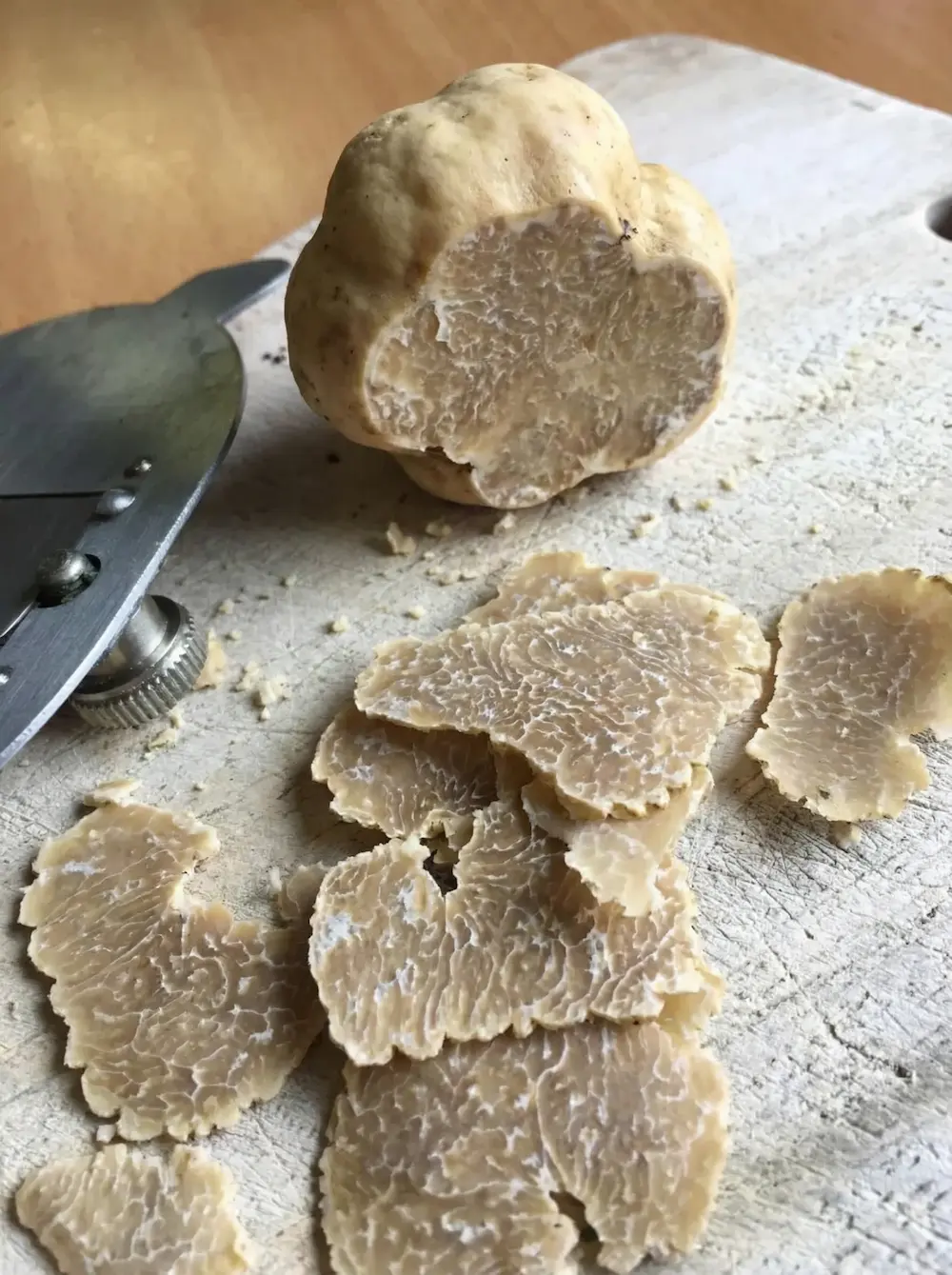 Tartufo bianco